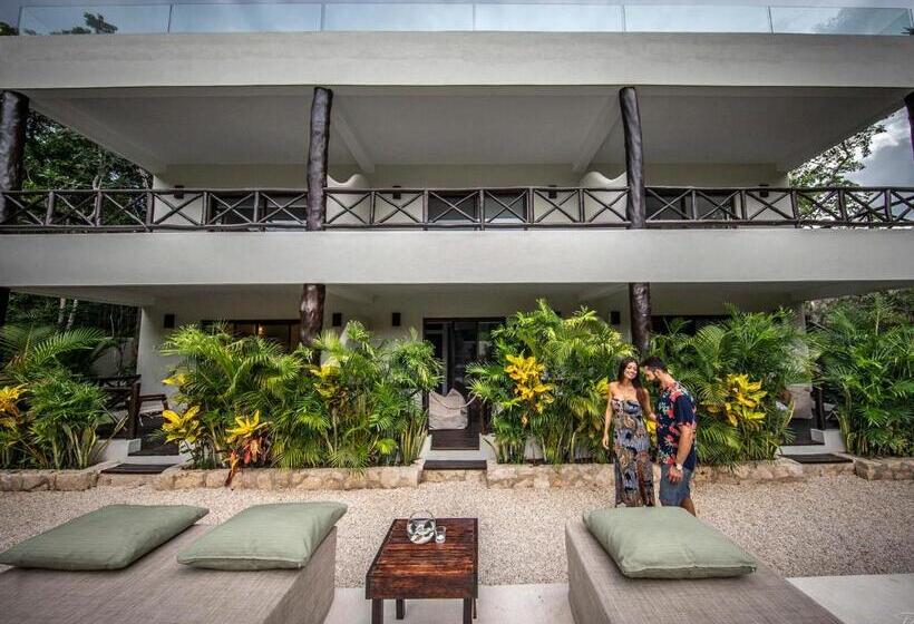 فندق Xcacel Dreams