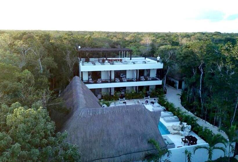 فندق Xcacel Dreams