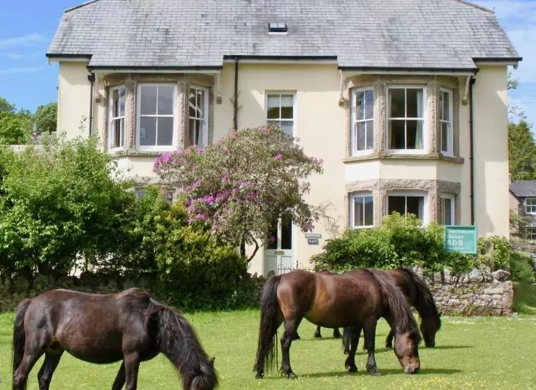 Dartmoor House B&b