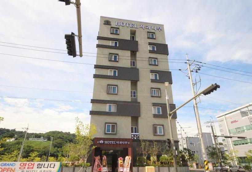 בית מלון כפרי Appletree