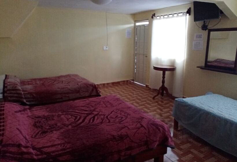 Отель Primavera