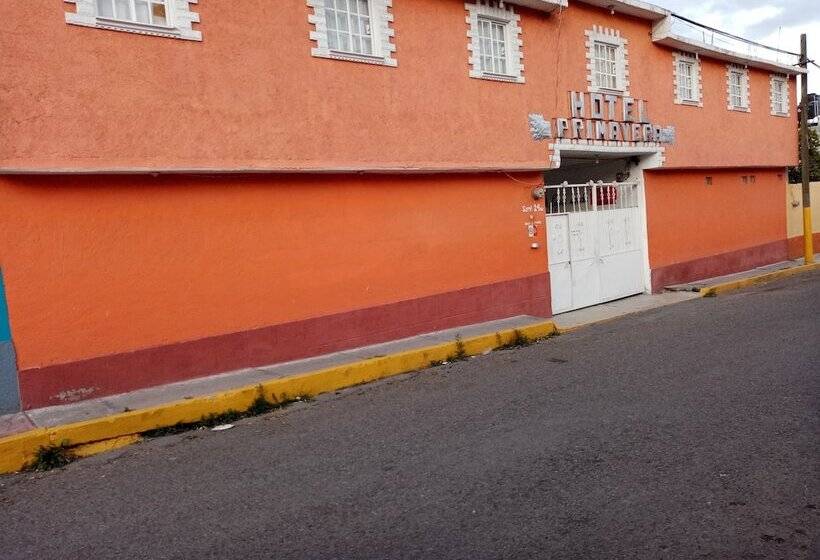 Отель Primavera