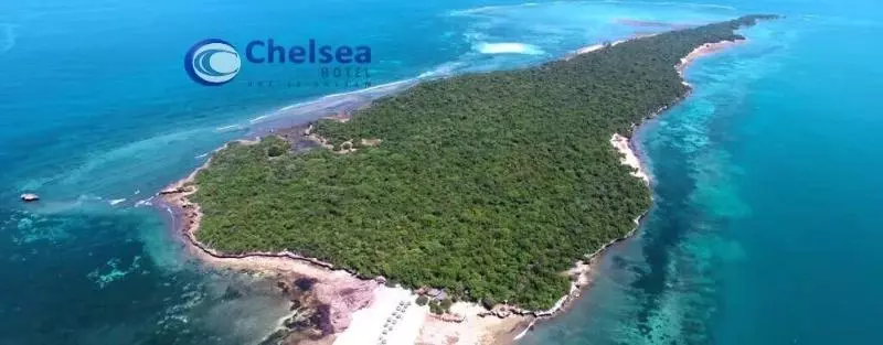 هتل Chelsea
