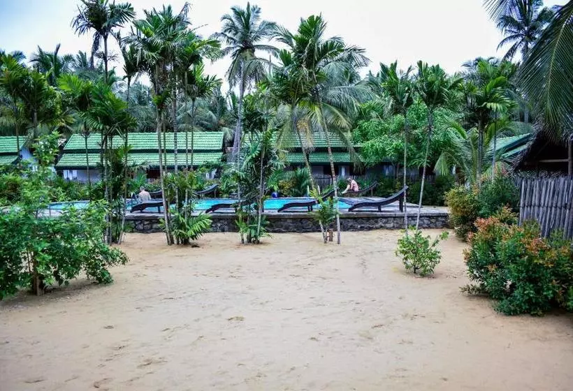 Ocean Wind Beach Resort
