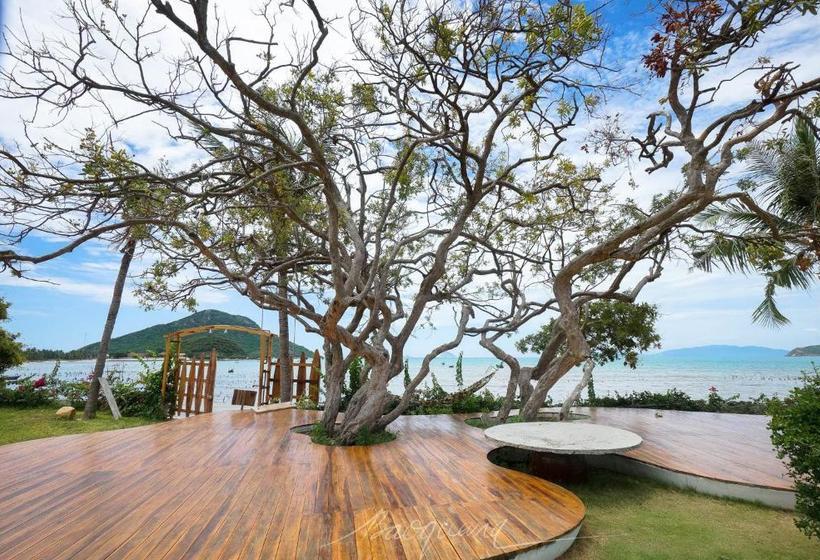 Vietnam Backpacker Hostels - Ninhvana