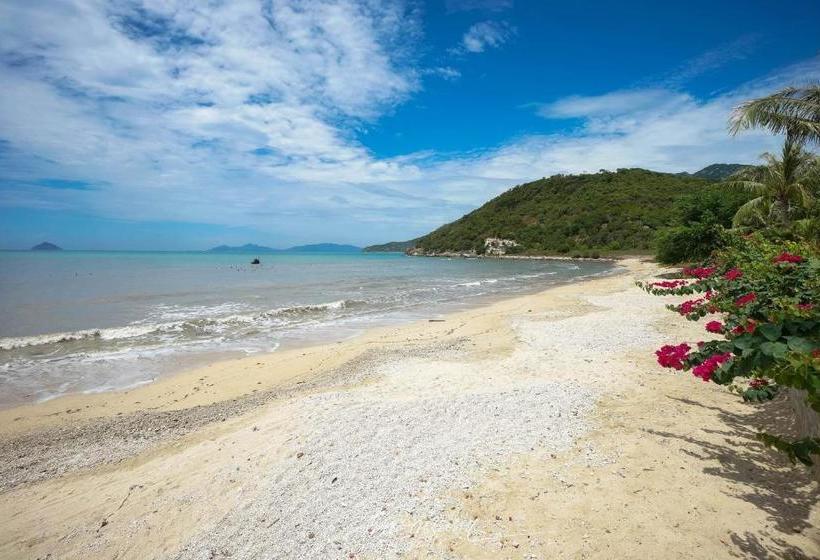 Vietnam Backpacker Hostels - Ninhvana