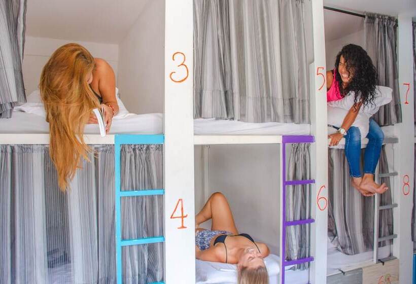 Wonderland Hostel By Gb Collection