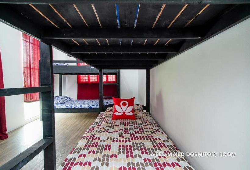 Zen Hostel Haven Backpackers