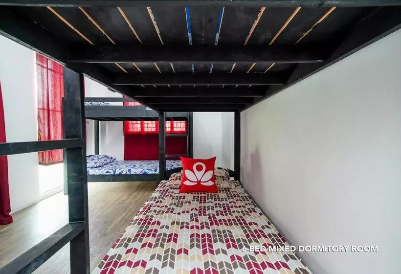 Zen Hostel Haven Backpackers