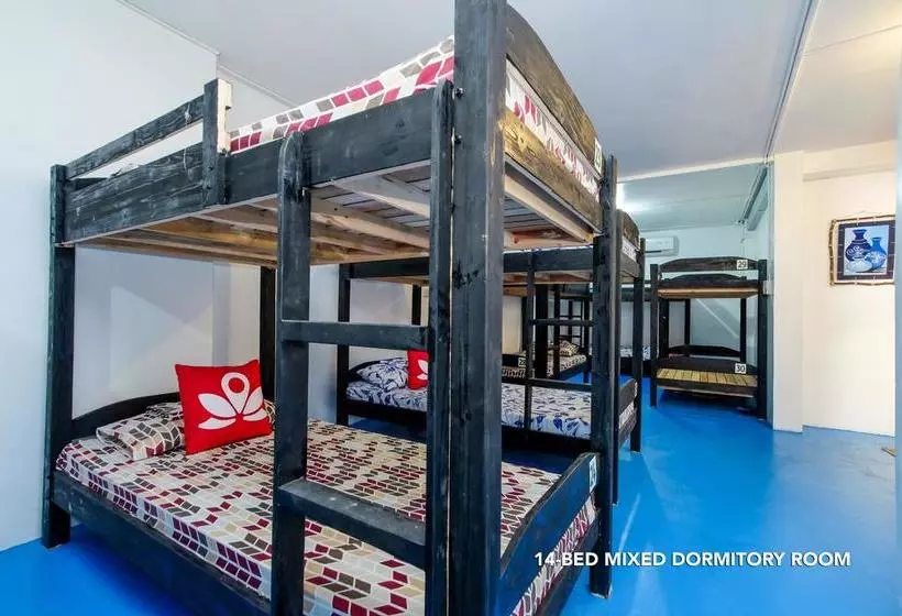Zen Hostel Haven Backpackers