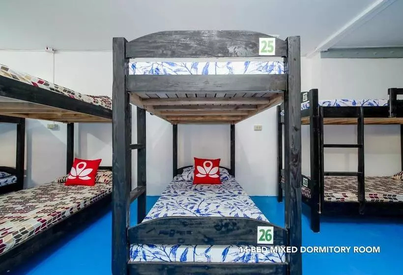 Zen Hostel Haven Backpackers