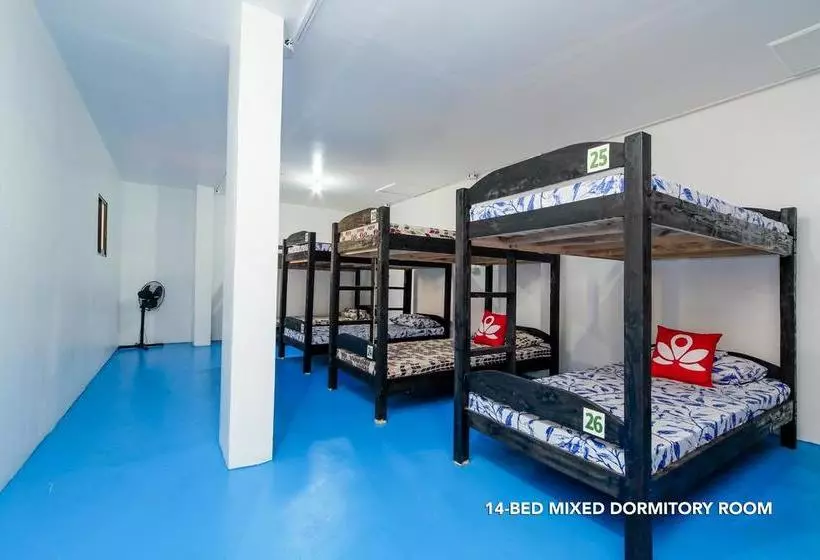 Zen Hostel Haven Backpackers