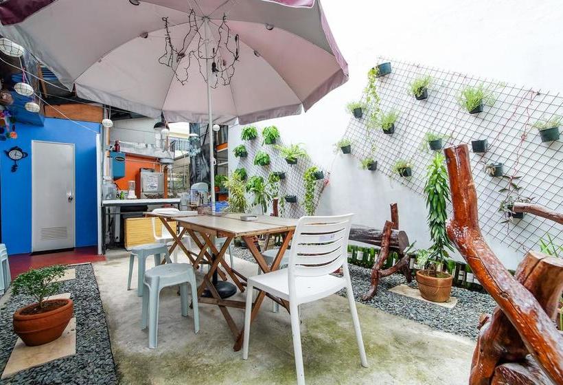 Zen Hostel Haven Backpackers