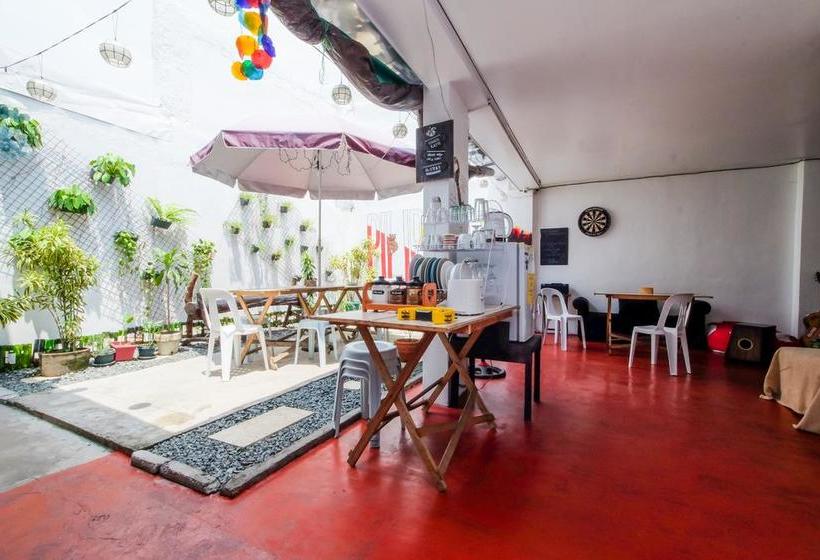 Zen Hostel Haven Backpackers