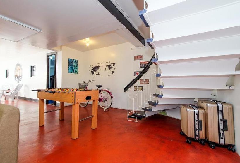 Zen Hostel Haven Backpackers