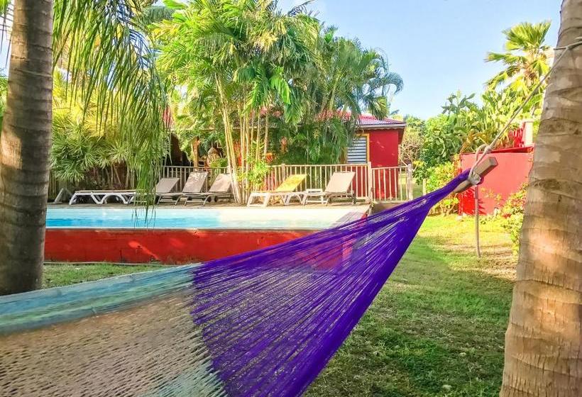 هاستل Sunset Surf Camp