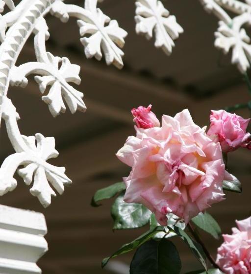 ベッドアンドブレックファースト Ferryman S Cottage