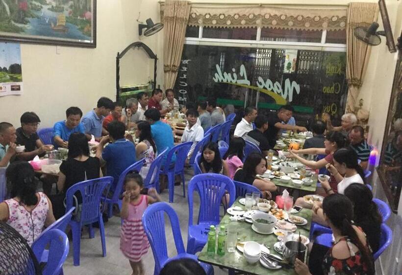 تختخواب و صبحانه Green Mountain Hostel