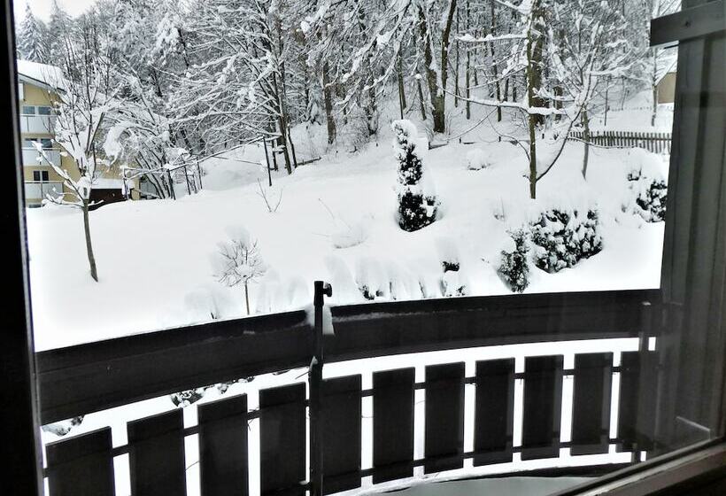 Gesundheitshotel Witzigmann