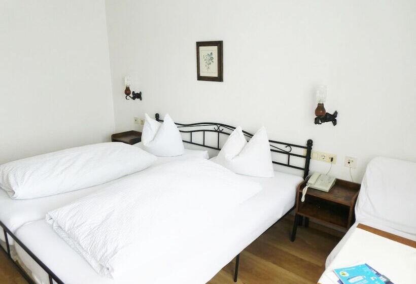 Gesundheitshotel Witzigmann