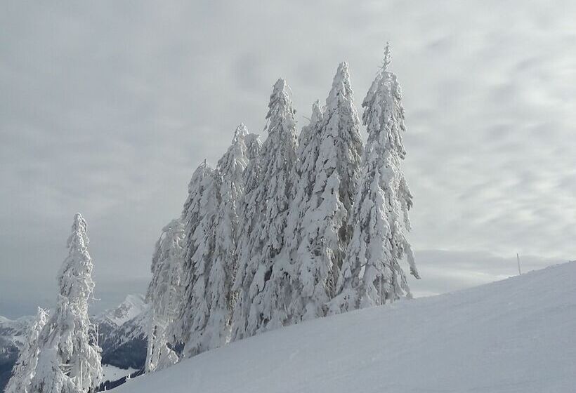 Gesundheitshotel Witzigmann