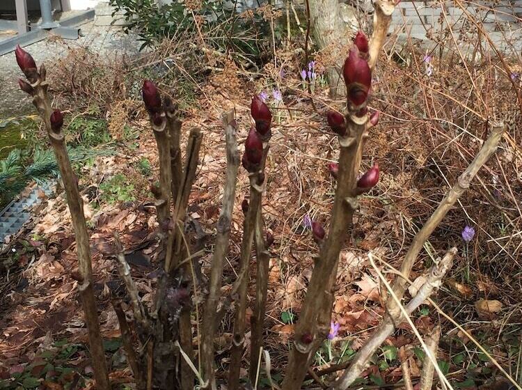 Gesundheitshotel Witzigmann