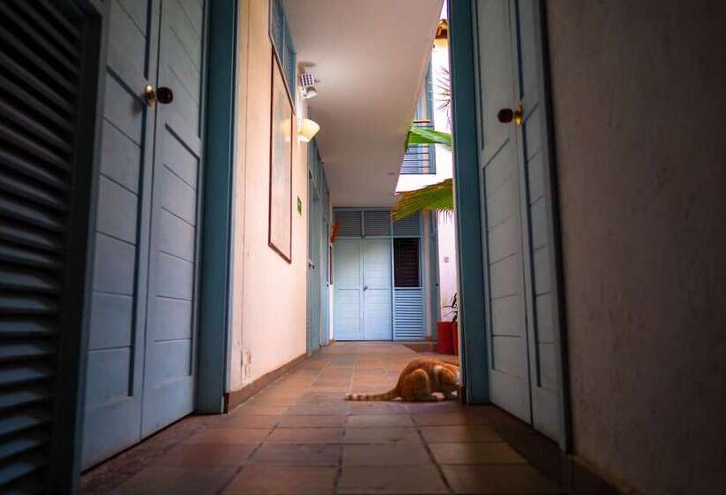 هتل Aluna Hostel B&b