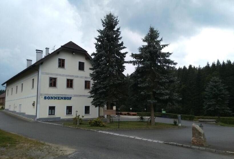 酒店 Sonnenhof
