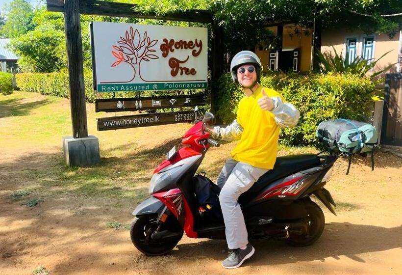 汽车旅馆  Honey Tree Polonnaruwa