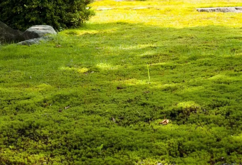 旅館 Ryotei Manyou