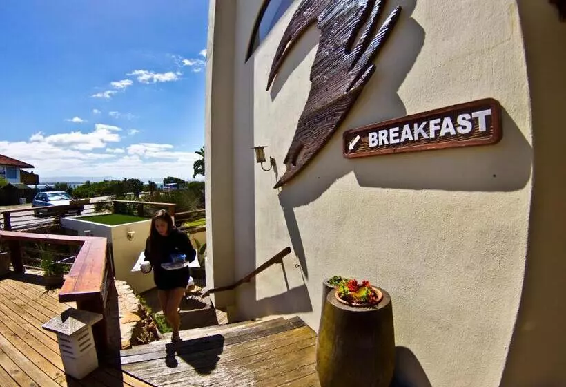 Retkeilymaja Aloe Again