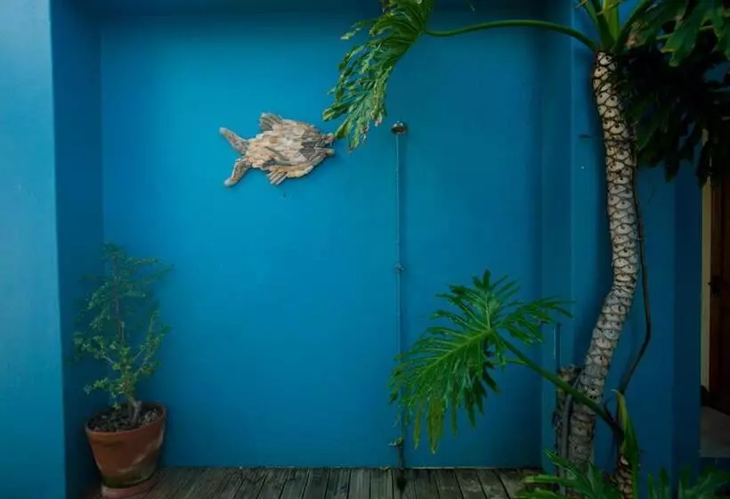 Retkeilymaja Aloe Again