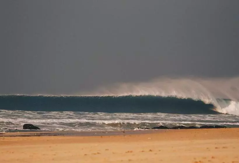 Retkeilymaja Aloe Again