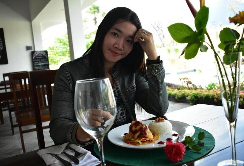 호스텔 The Barari Villas