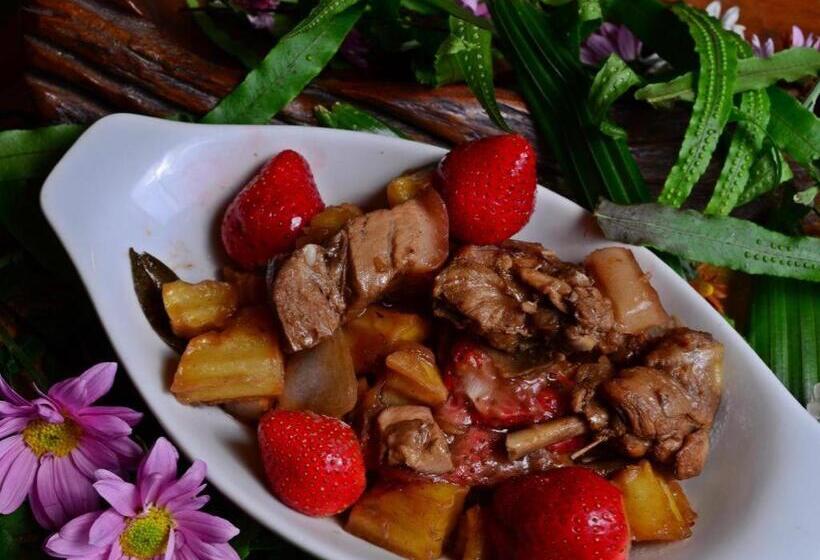 Hotel Mines View Park