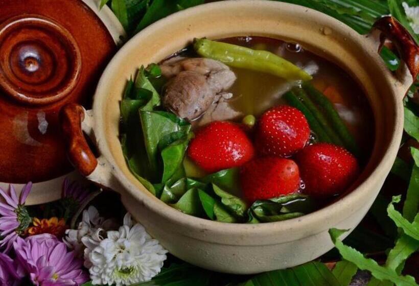 Hotel Mines View Park