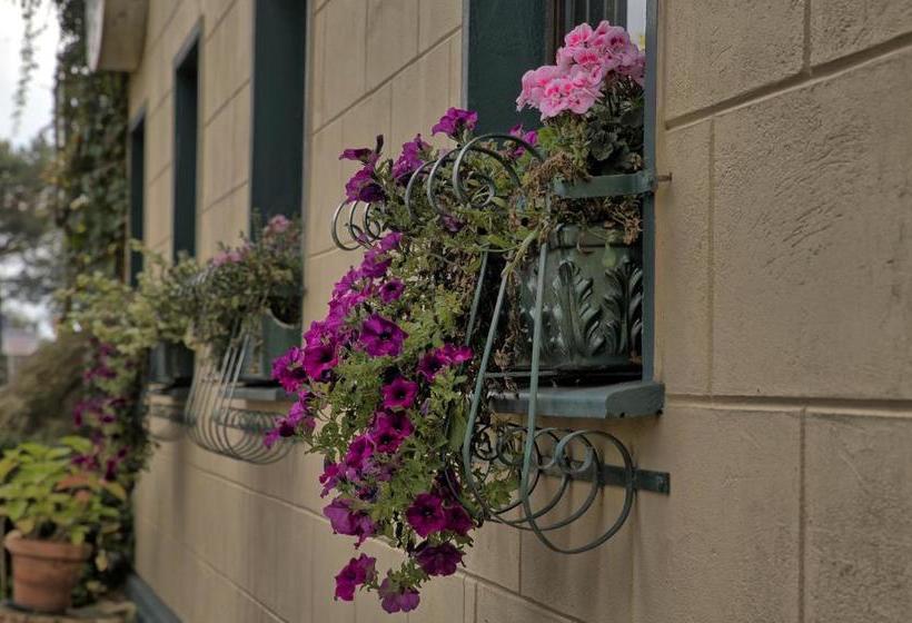 酒店 Restaurant Tonino