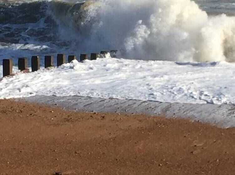 St Leonards Seaside Apartment
