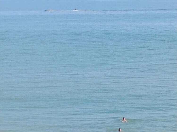 St Leonards Seaside Apartment