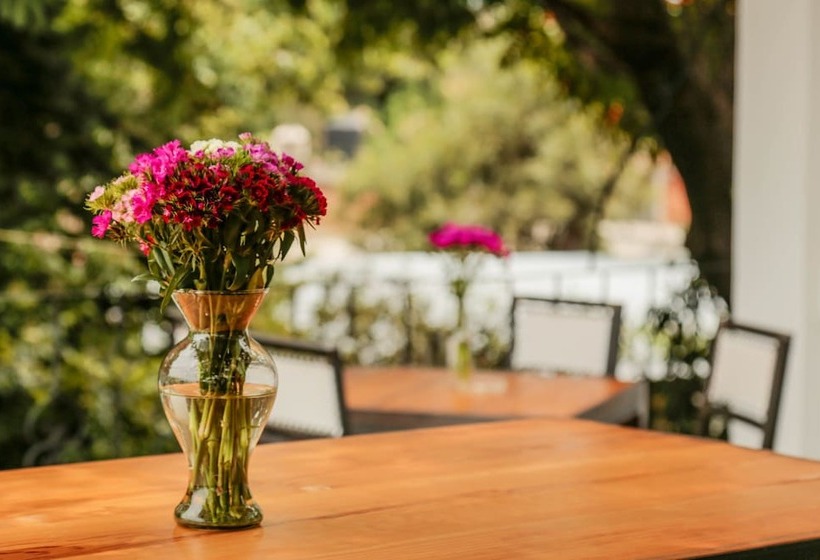 Отель Agrado Guest House