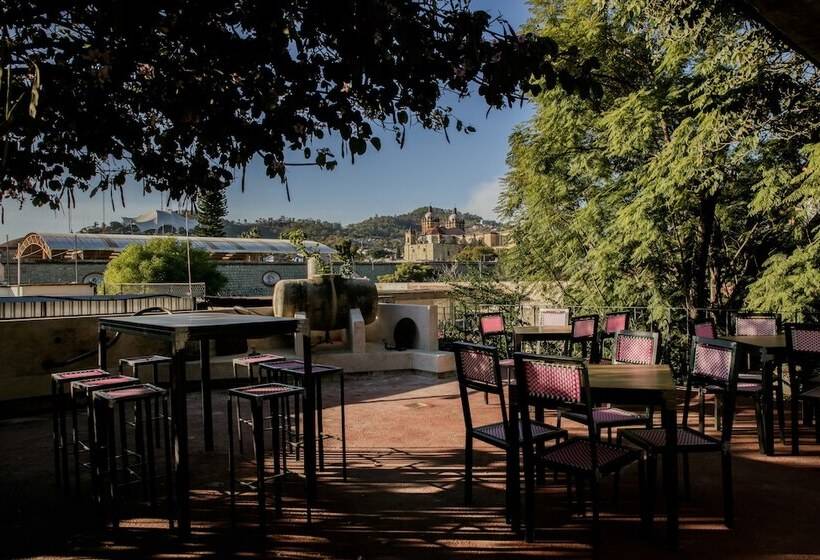 Отель Agrado Guest House