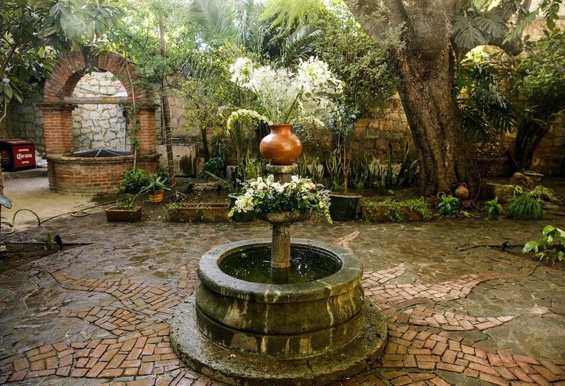 Отель Agrado Guest House