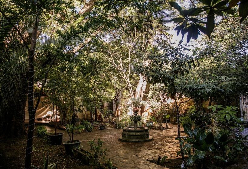 Отель Agrado Guest House