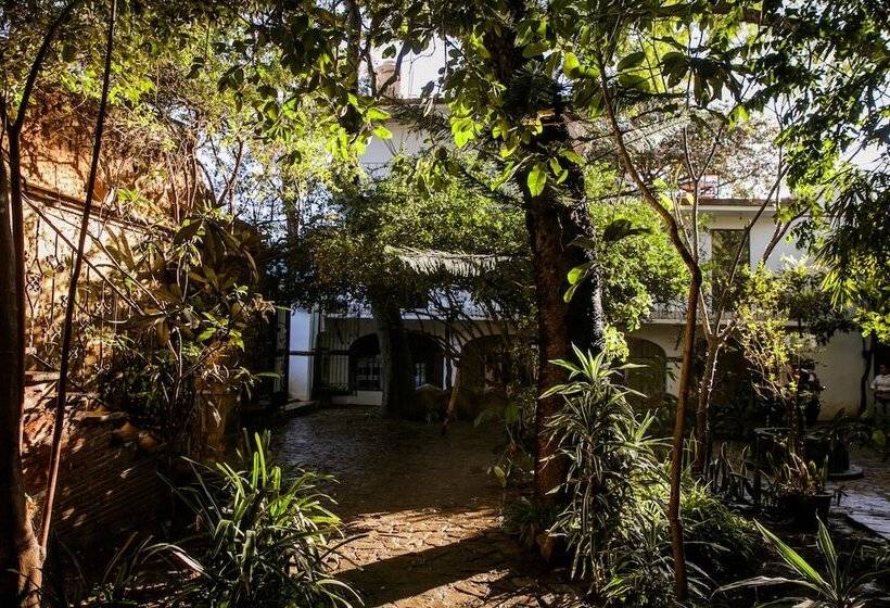 Отель Agrado Guest House