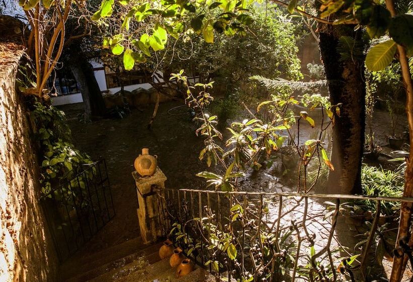 Отель Agrado Guest House