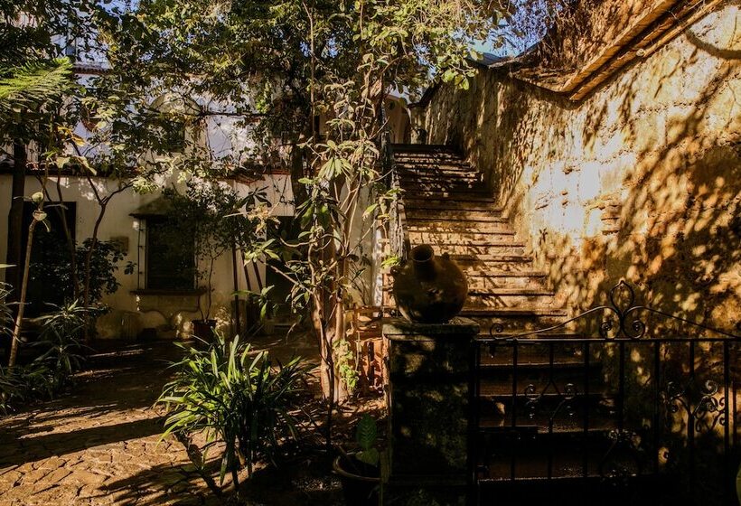 Отель Agrado Guest House