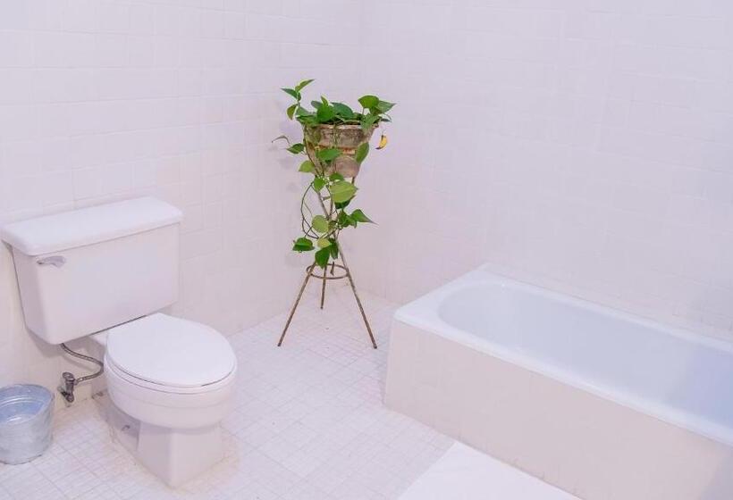 Отель Agrado Guest House