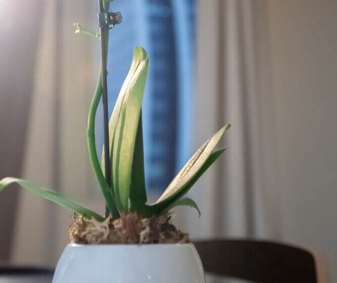 Paseo La Galería Hotel & Suites