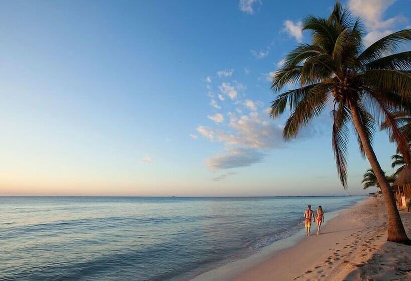 استراحتگاه Saffron Beach Bistro & Cottages