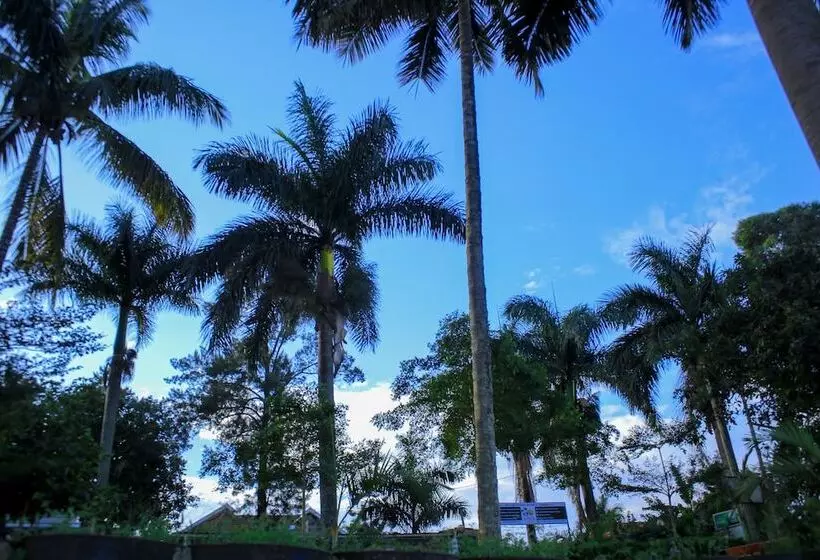 Lomakeskus Saffron Beach Bistro & Cottages